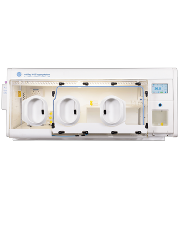 Whitley H45 Hypoxystation